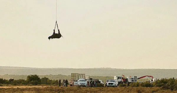 【完整註解】為什麼倒掛犀牛才是正確的做法